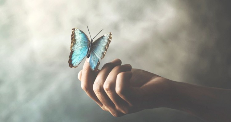 O significado espiritual das borboletas