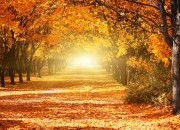 Saiba de que forma a energia do Outono irá afetar o seu signo, e que transformações vai trazer à sua vida!
