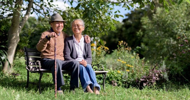 Descubra o Sistema Hanasaki: A Jornada Japonesa para uma Vida Centenária com Sentido