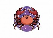 Saiba de que forma a energia do Sol em Caranguejo nos afeta e conheça as caraterísticas deste signo!